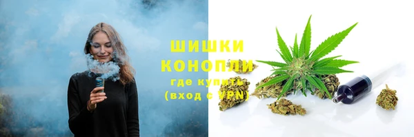 дживик Белокуриха