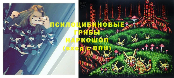 дживик Белокуриха