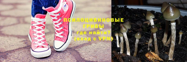 дживик Белокуриха
