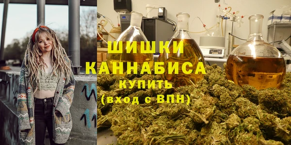 дживик Белокуриха