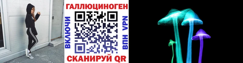 где найти   Вязники  Галлюциногенные грибы Cubensis 