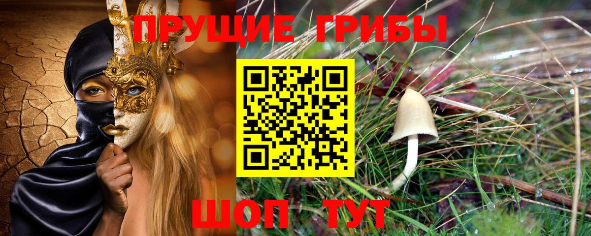 Галлюциногенные грибы Cubensis  Вход с VPN  Вязники 